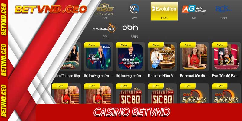 casino betvnd